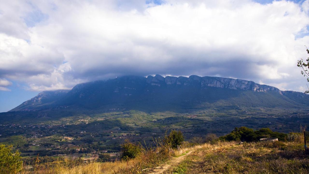 Altavilla Silentina La Casa Sulla Collina Bed & Breakfast エクステリア 写真
